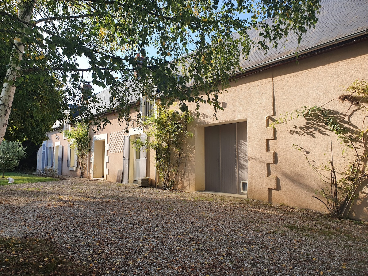 Studio avec chevaux et autres animaux