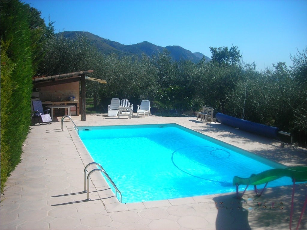 橄榄树林游泳池别墅