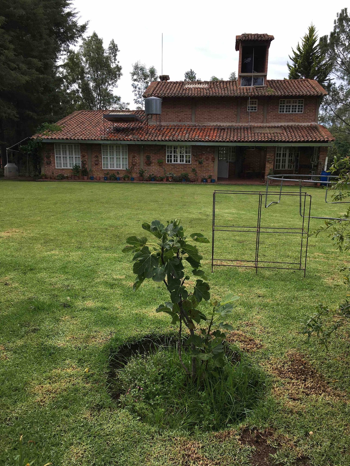 La Tejeria Cabin, Tapalpa Jalisco