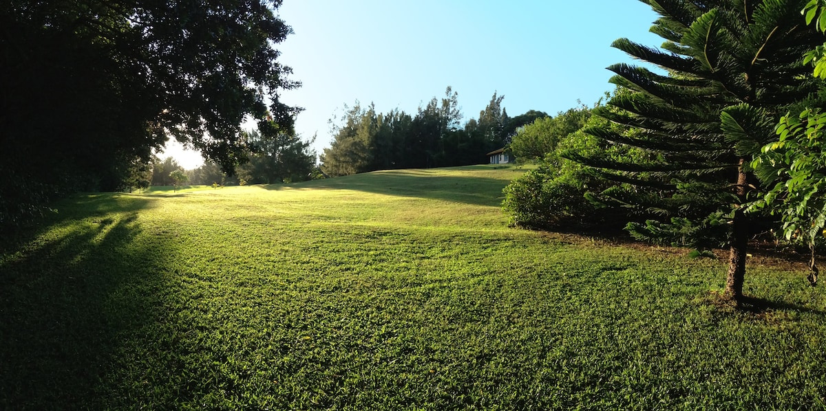 宁静的单间公寓- Hobby Fruit Farm -海滩10分钟