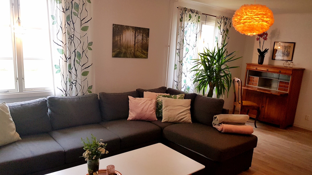 Sörgården -全新装修的客用公寓，可入住1-4人。
