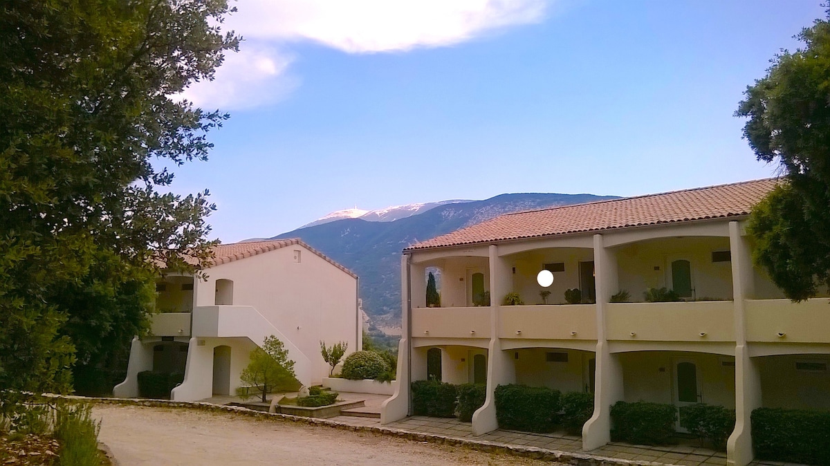 Provence Ventoux. Studio panoramique et piscine