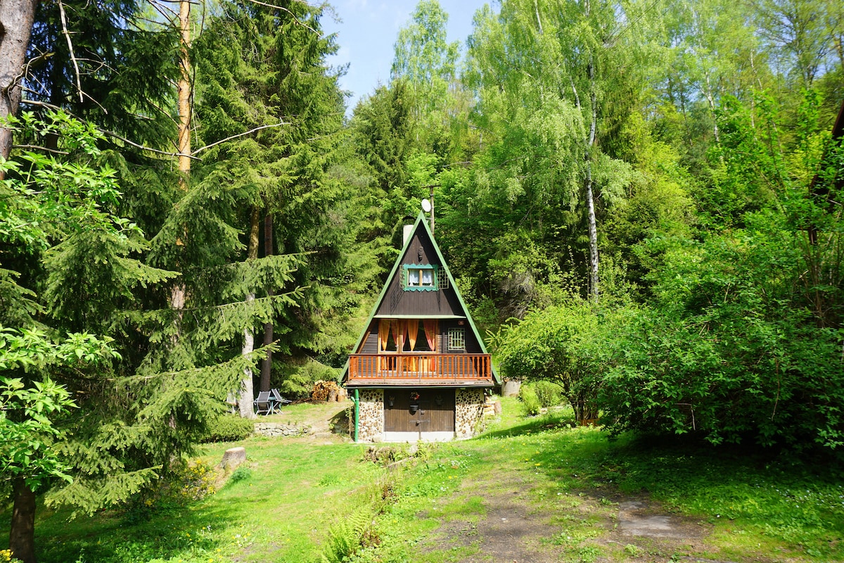 国家公园的家庭式小屋