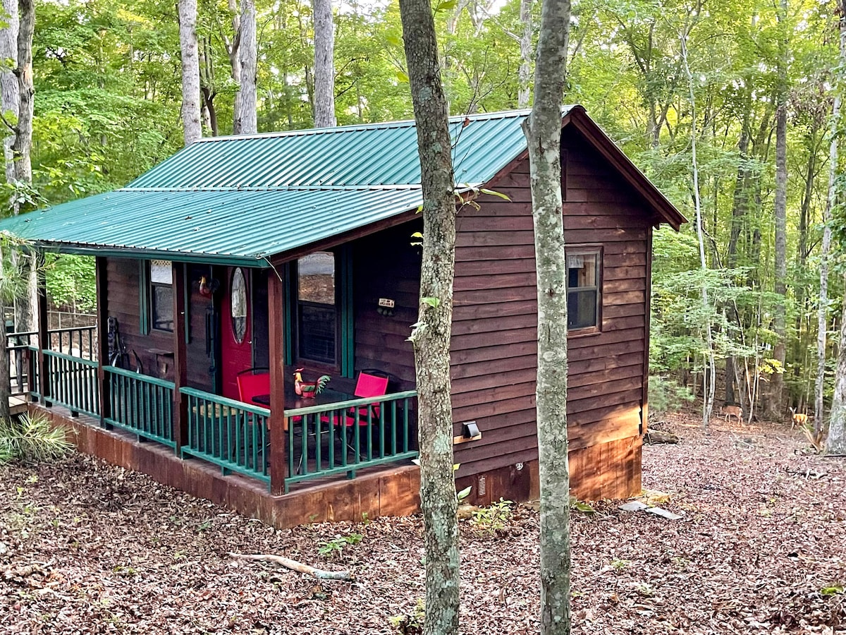 Explore North Georgia Mountain Cabin