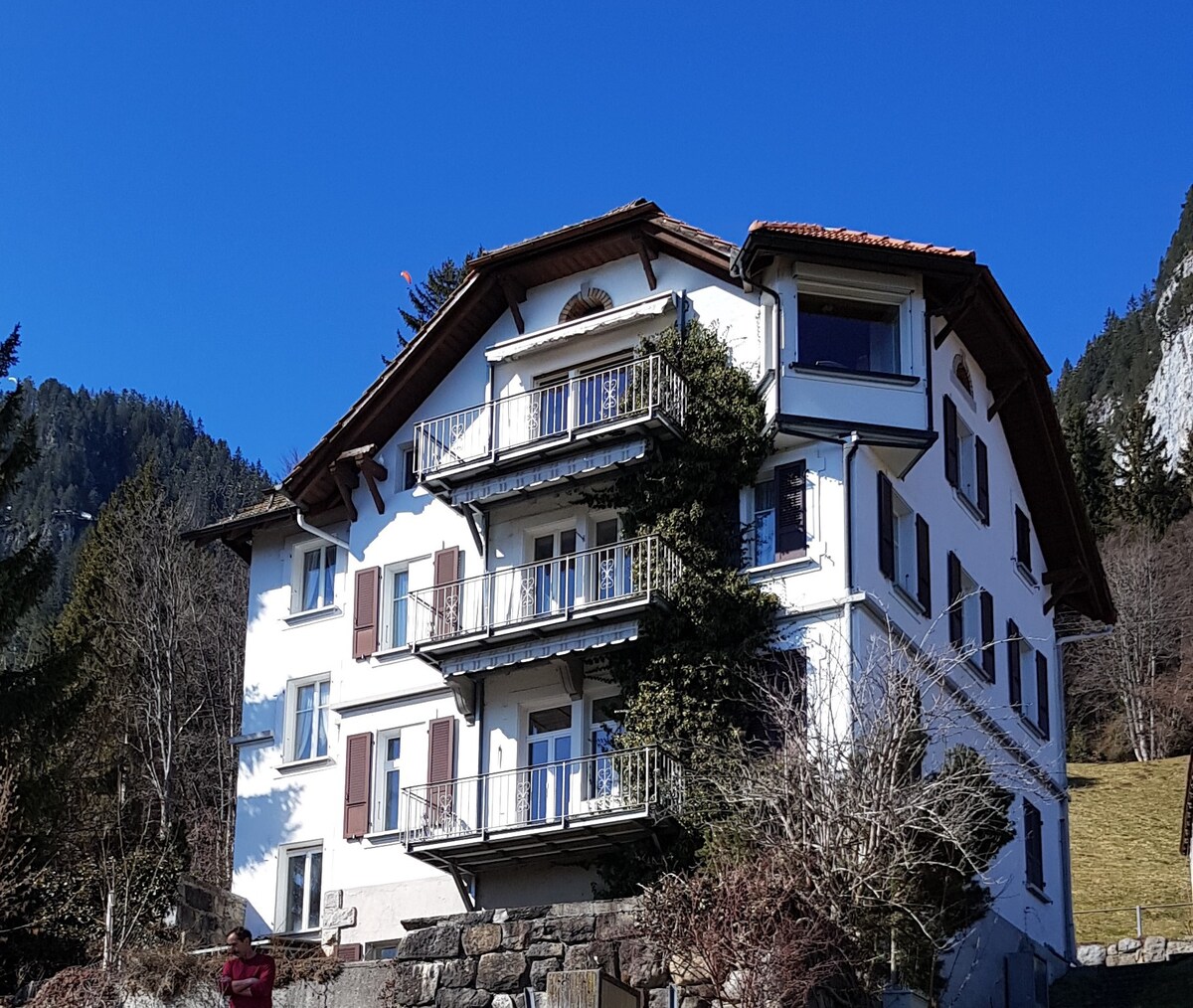 Weisses Haus - Top