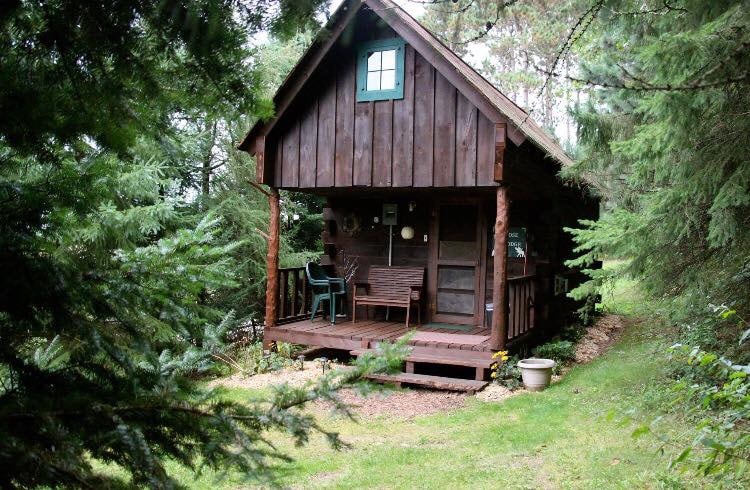 Grapevine Log Cabins 3