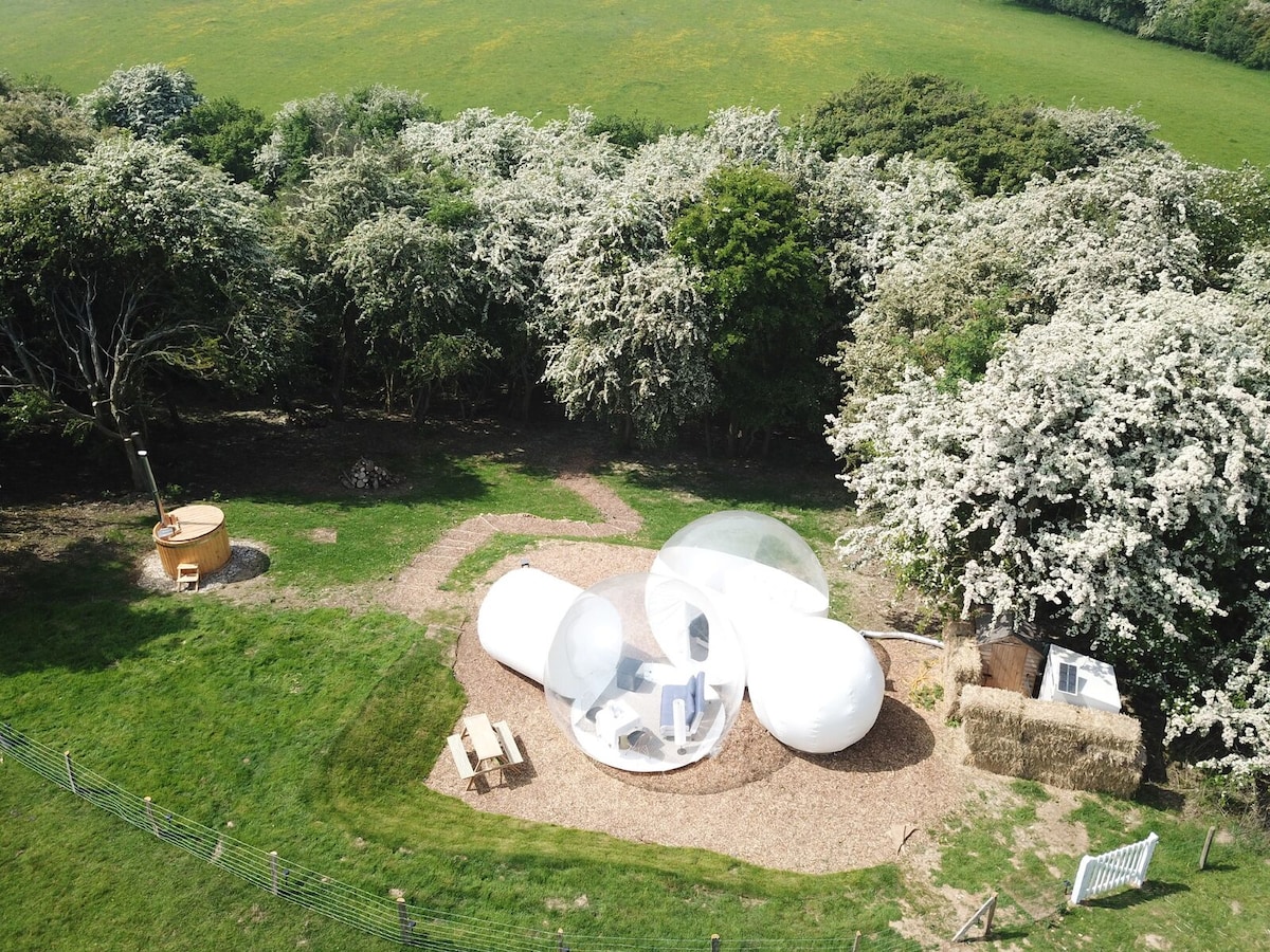 Wooded Bubble tent