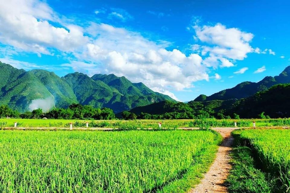 Mai Chau生态民宿-山景宿舍