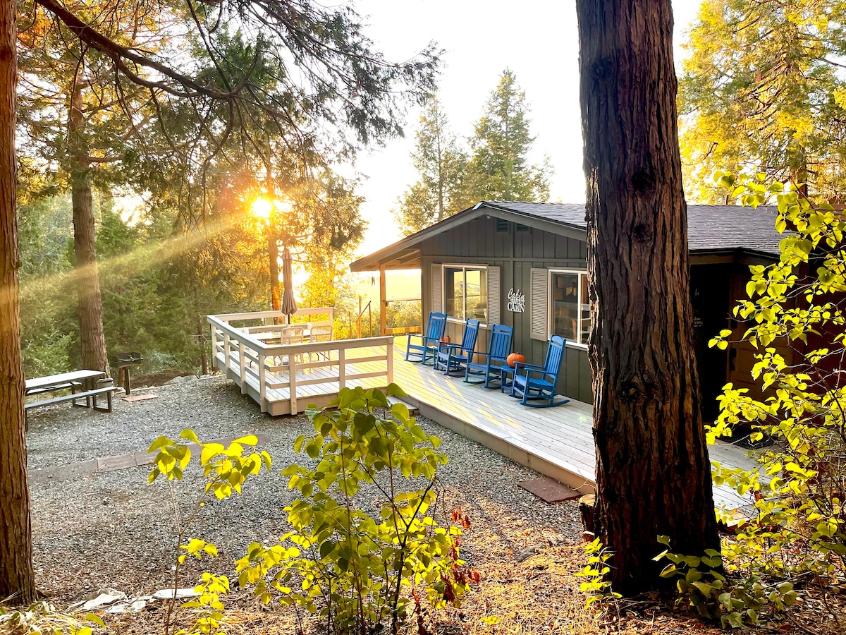 蓝鸟小屋自然之旅