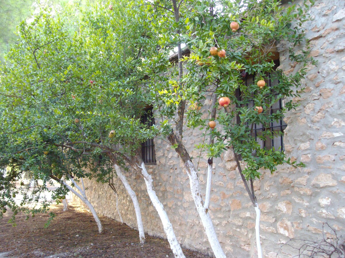 Cortijo Ferradores 3