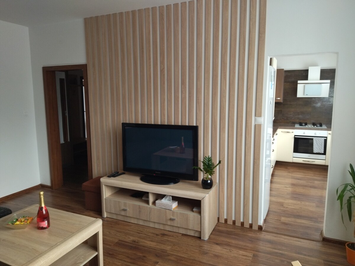 Apartman Viki