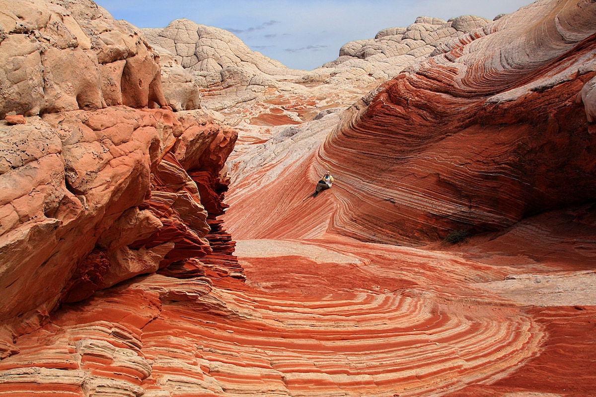 Red Rock Hacienda- 
The Greatest Earth on Show