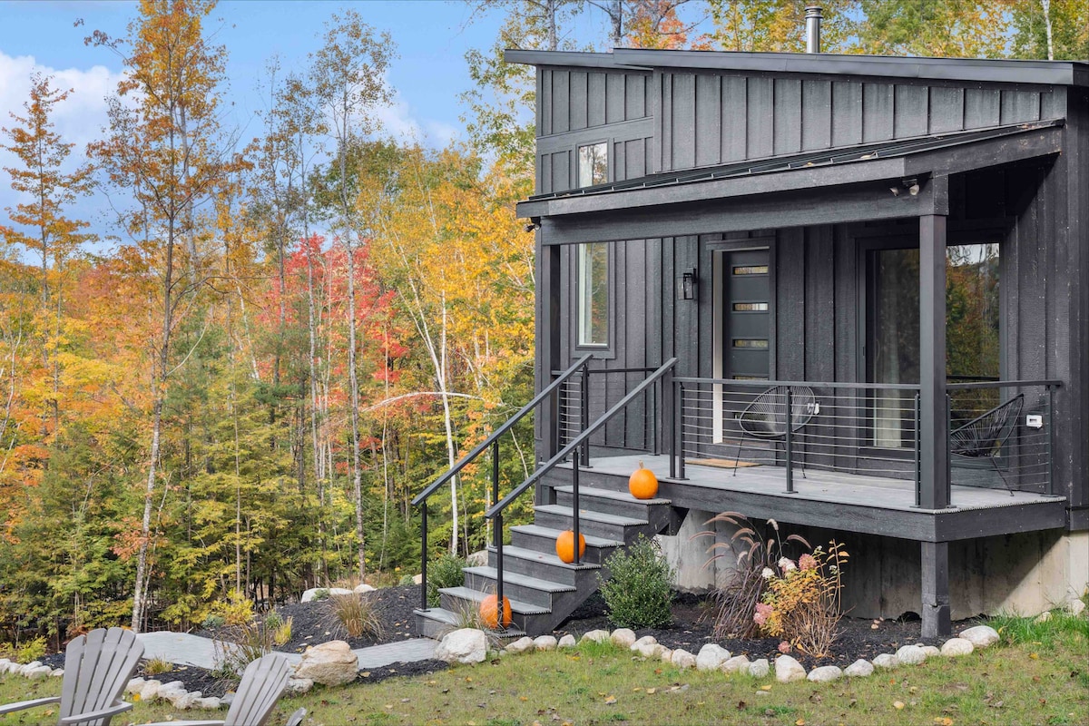 New modern cabin-contemporary design meets nature