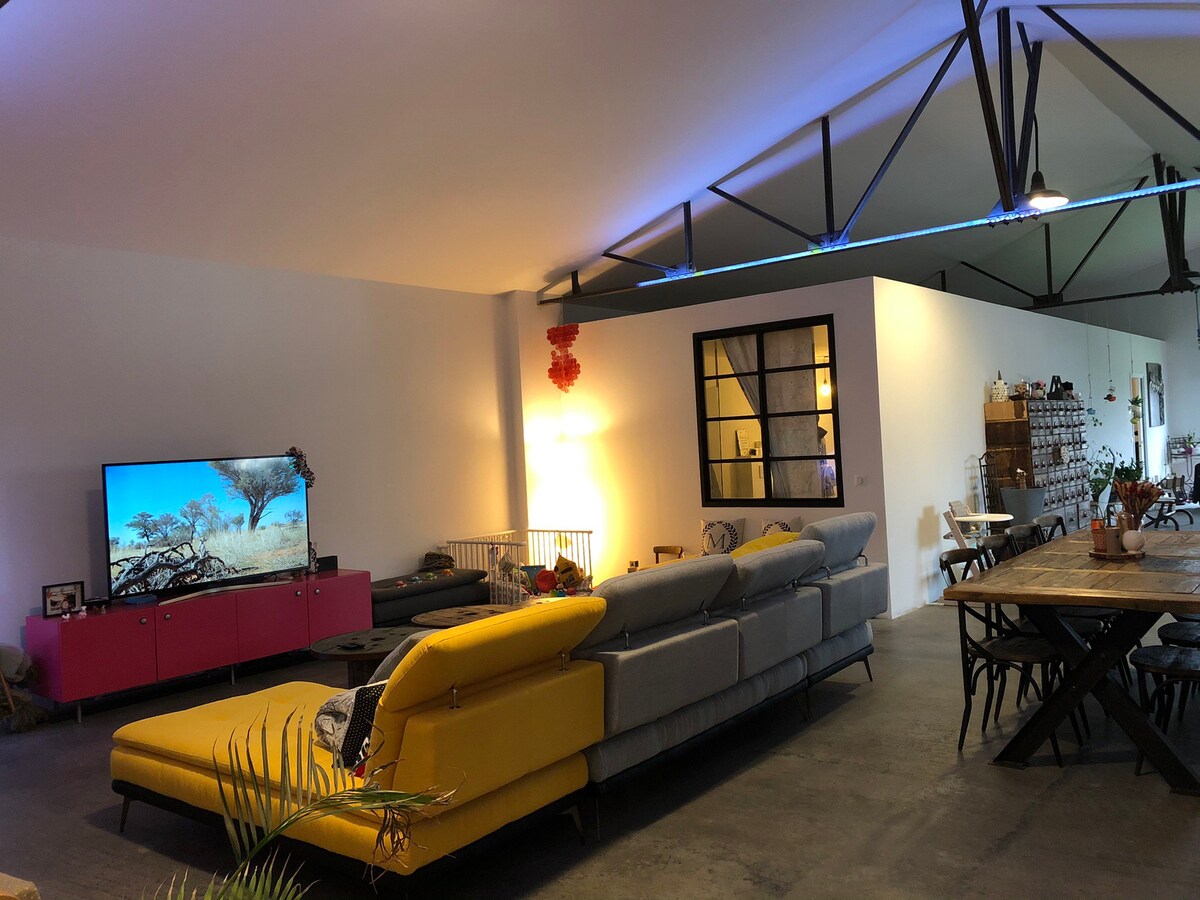 Loft 200平方米，带有60平方米的露台