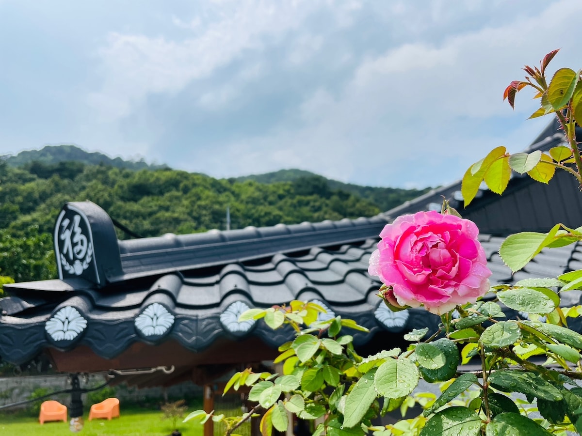 금진해변 마당넓은집에서
아무것도 하지 마세요

그늘아래커피한잔
새소리들으며멍
누워서햇빛샤워