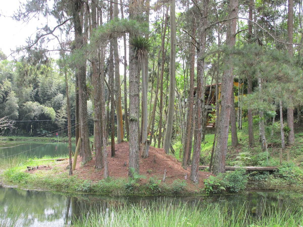 Petfriend Forest Refuge Site - Ibiúna-SP