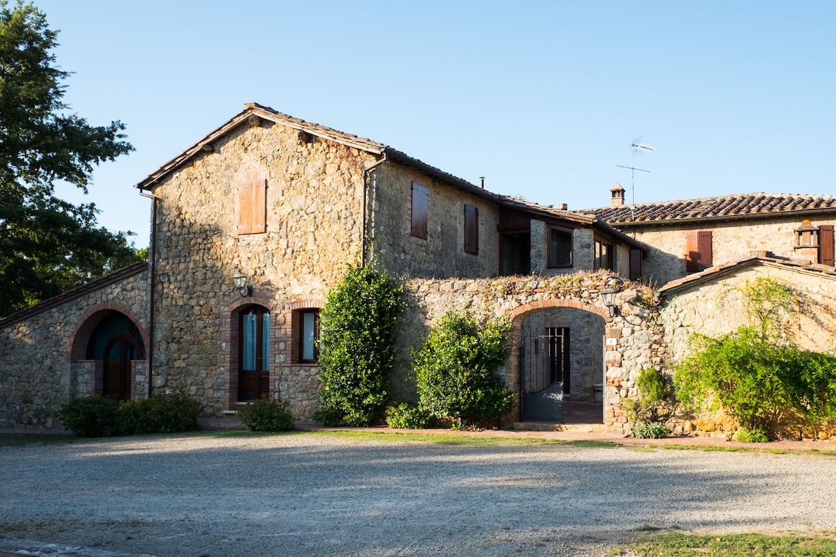 Podere Casalino - Il Gatto