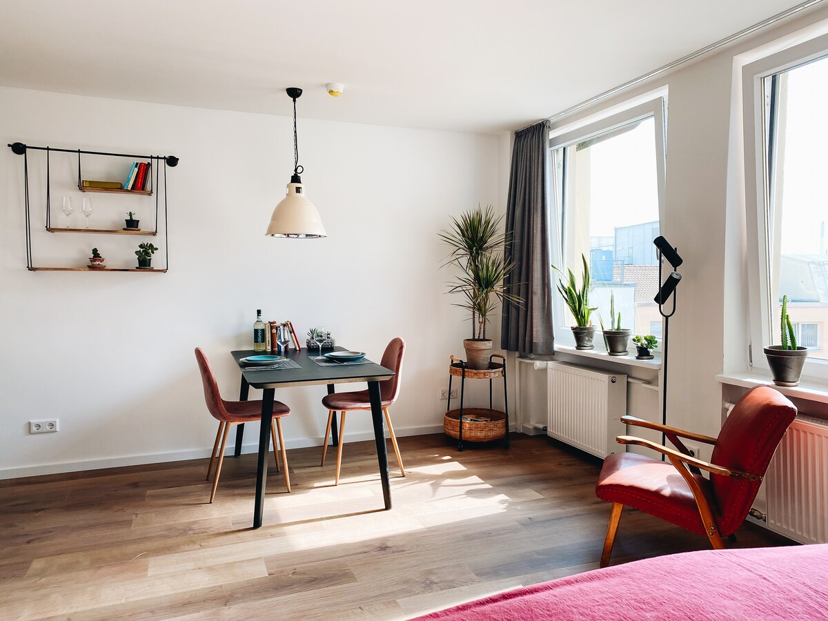 Lorenz 54 ：带厨房的单间公寓，面积为29平方米