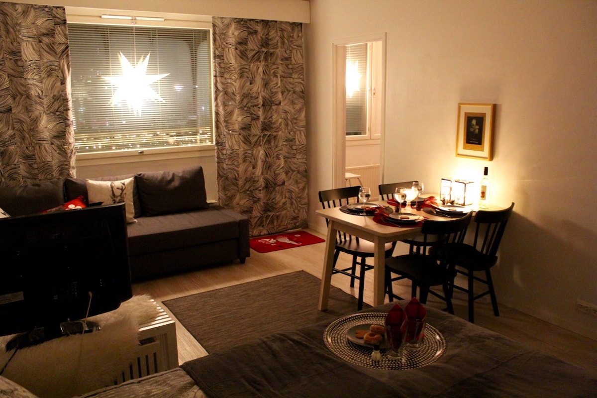 市中心舒适的斯堪的纳维亚公寓