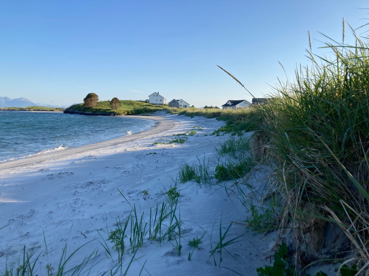 海峡风景优美的小木屋。