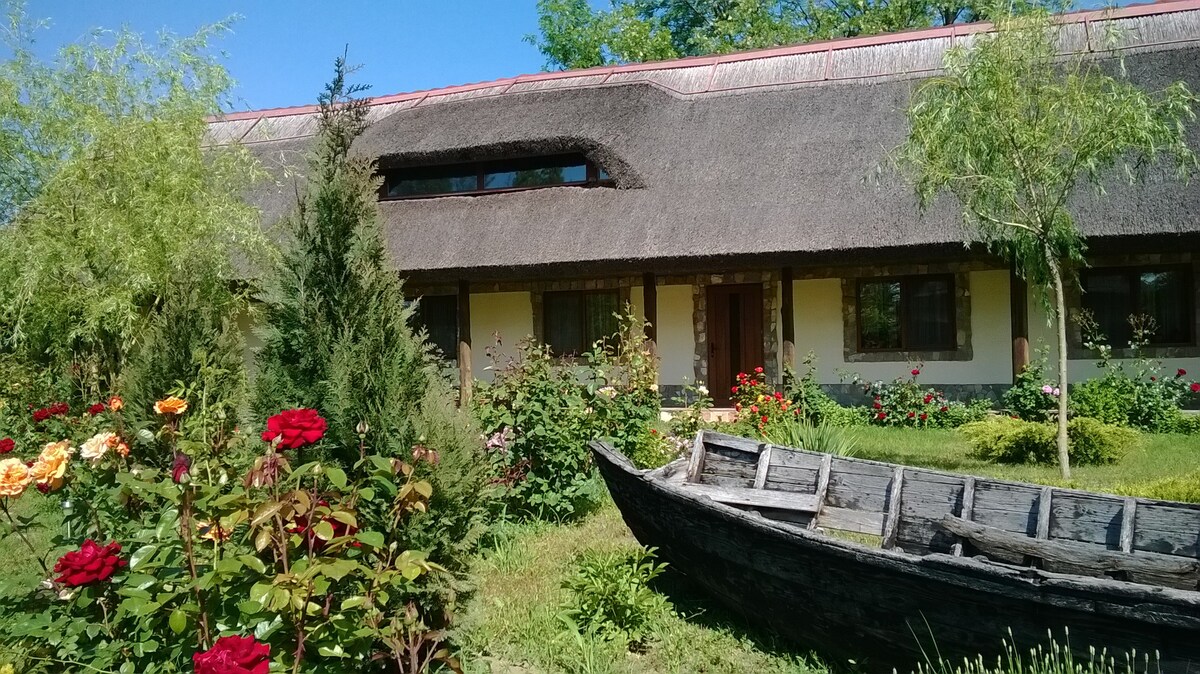 多瑙河三角洲传统民宅的公寓