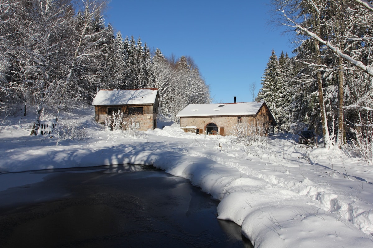 Le Refuge de Nicolas - Rêve de Neige Forêt et Feu