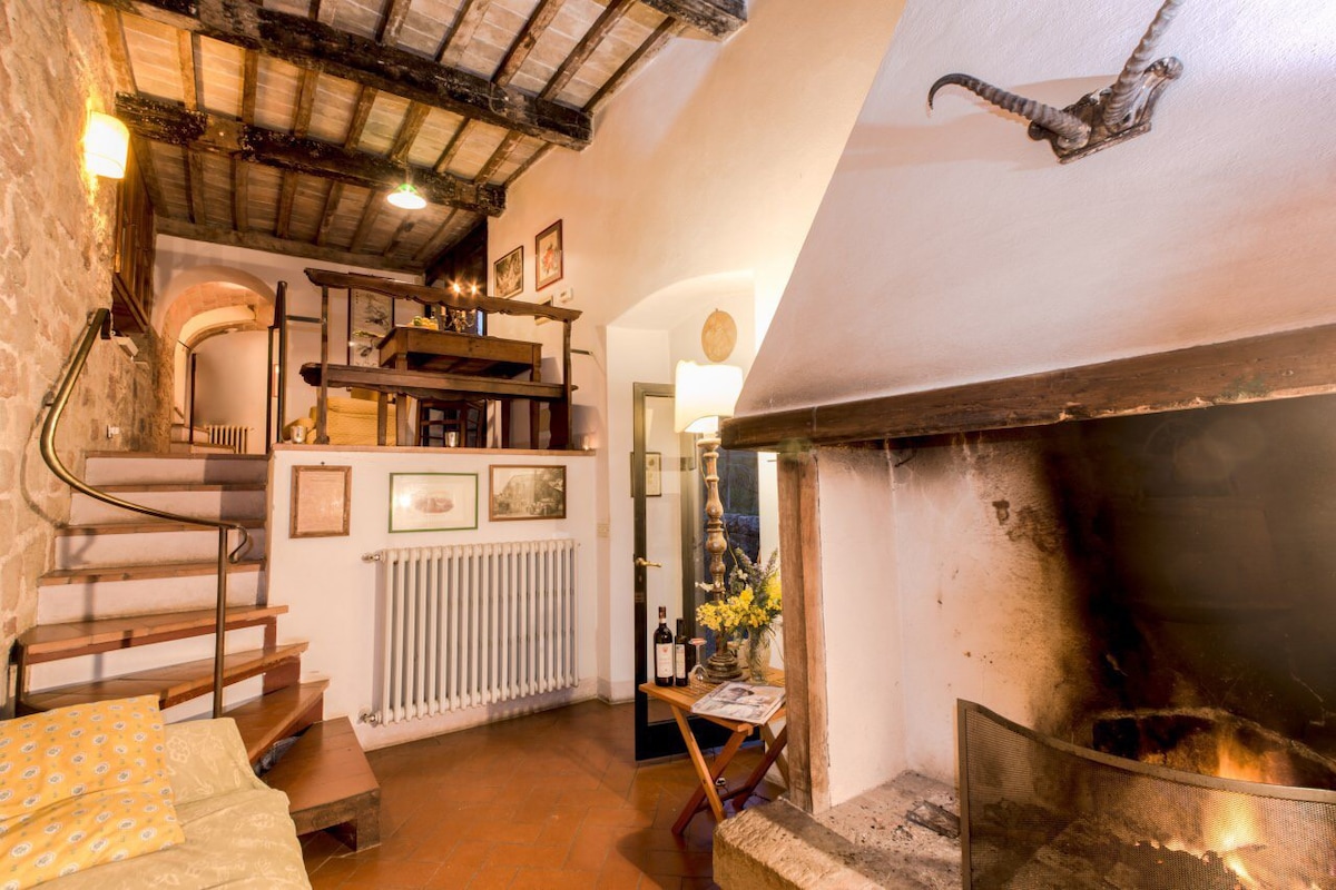 Pieve di Caminino Historic Farm - 2 p. apartment