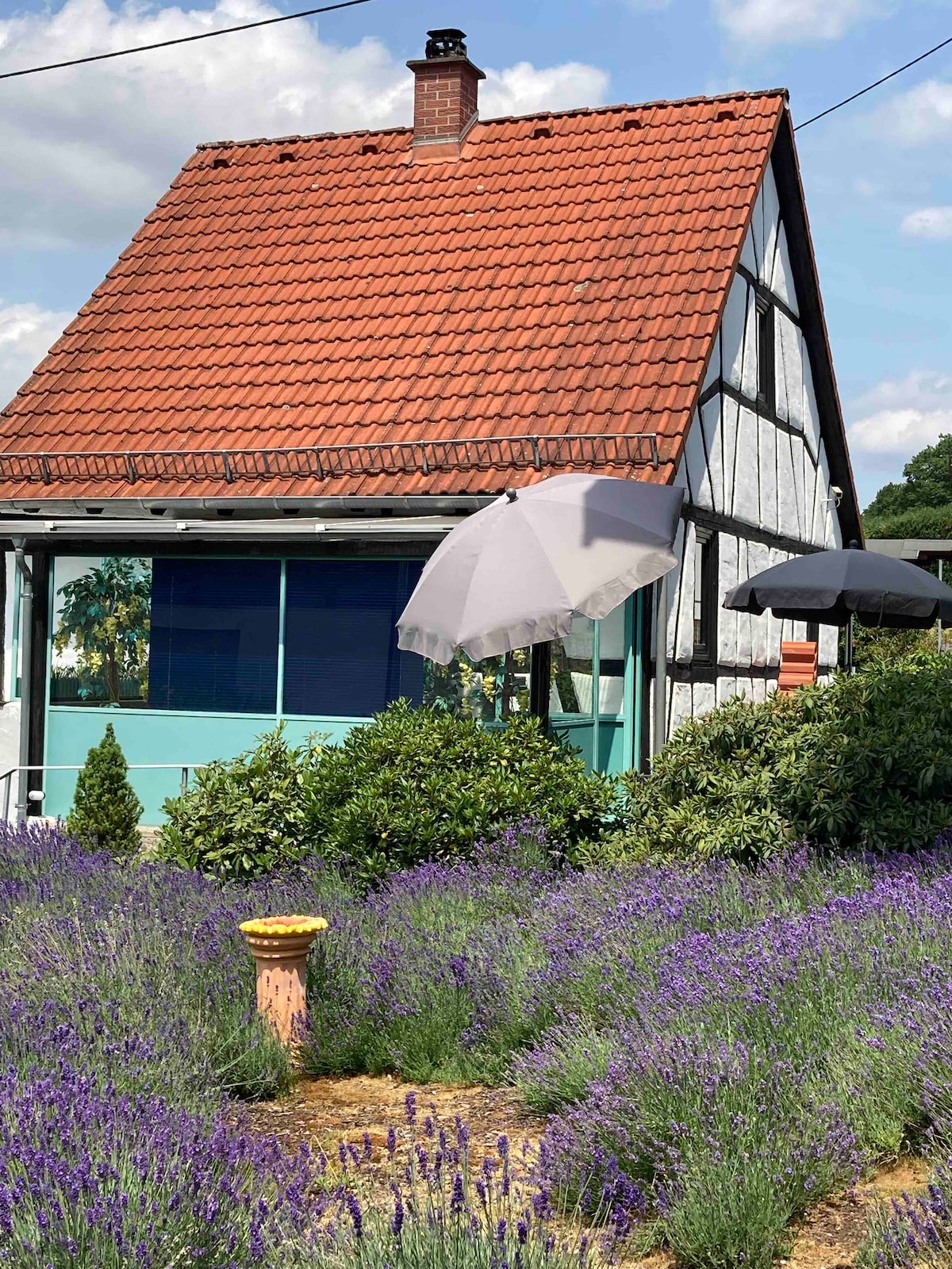 Ferienhaus mit Sauna im Taunus, ruhige Lage