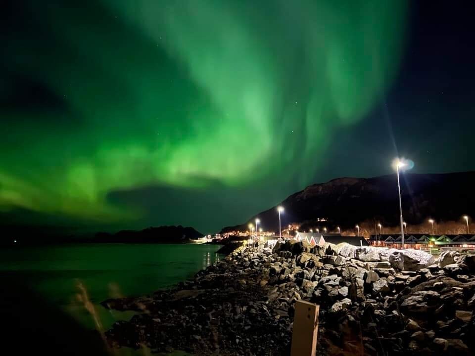 漂亮的公寓，靠近bodøsjøen。