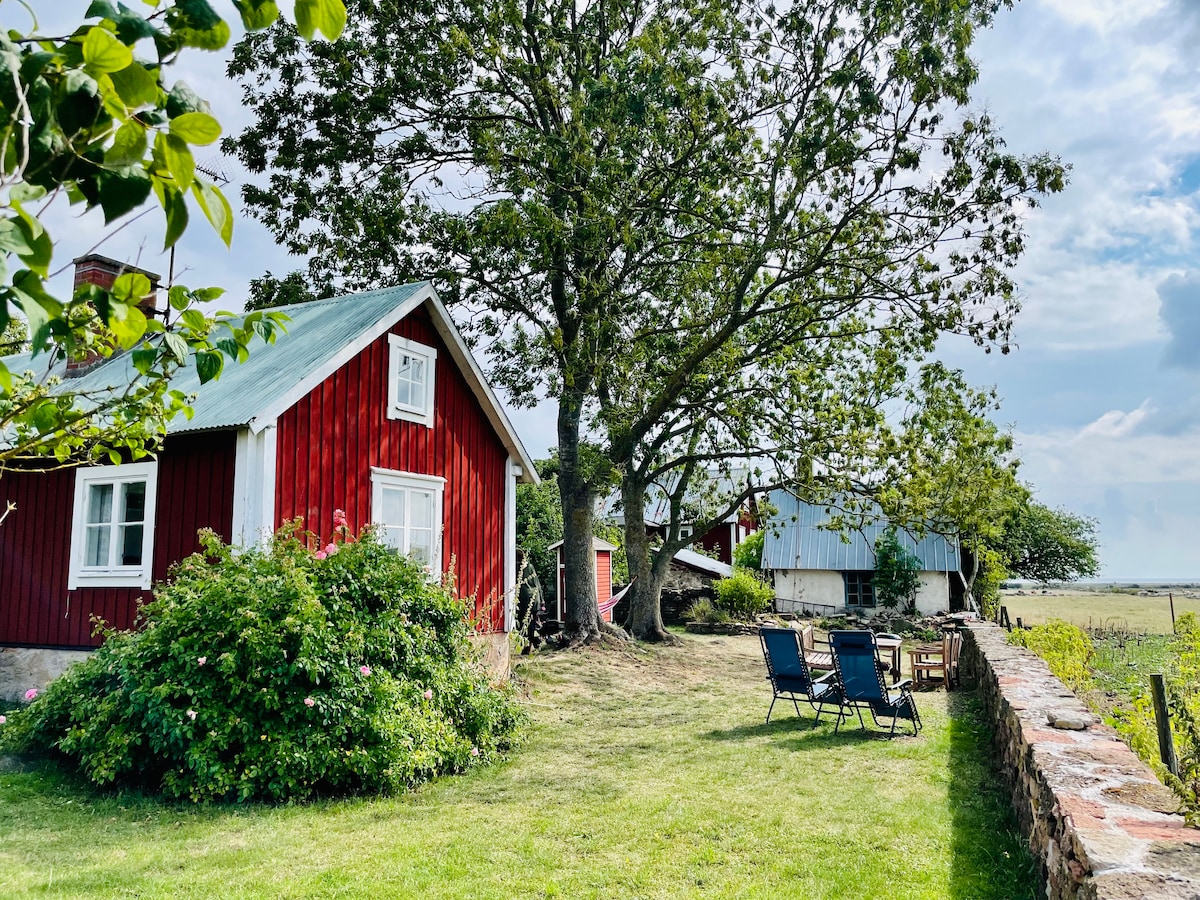 迷人的17世纪海景乡村小屋