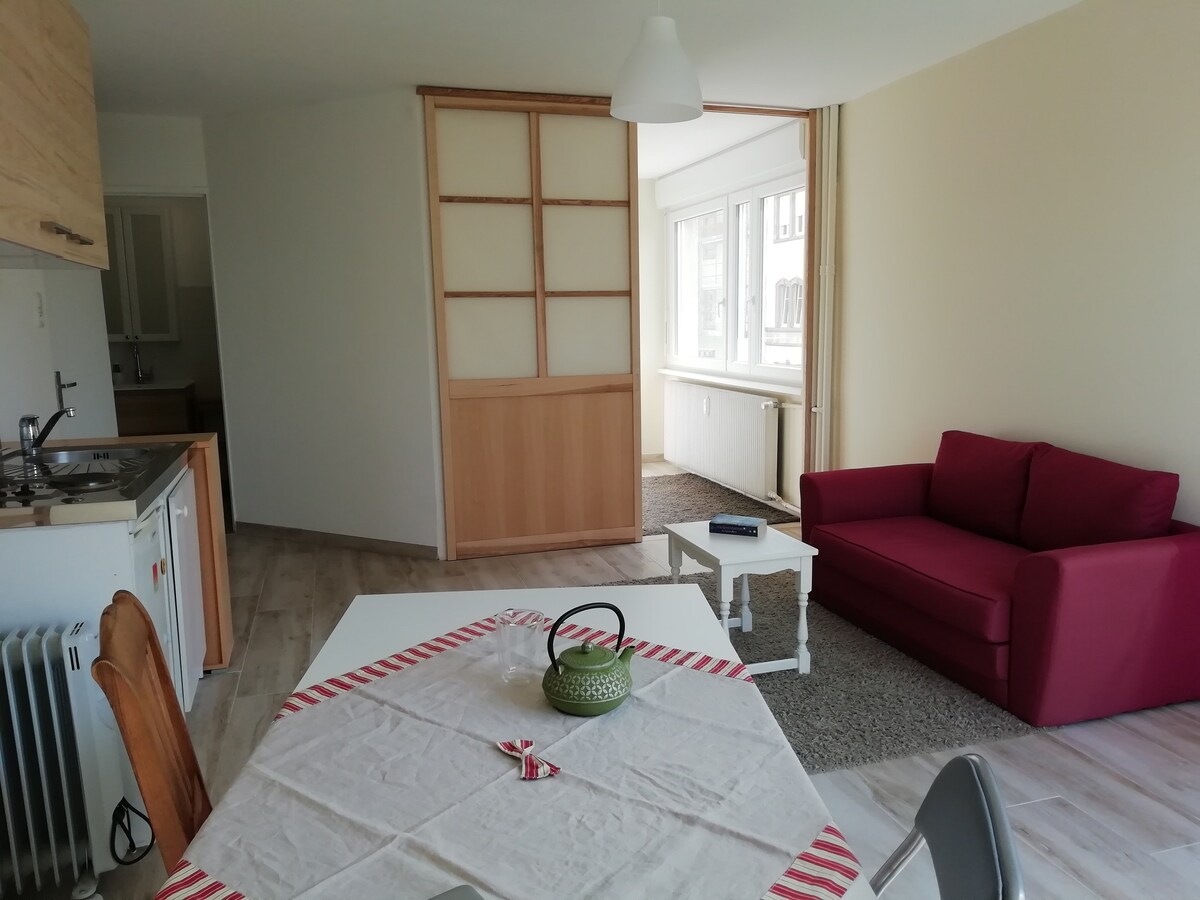 Appartement Cosy proche centre-ville