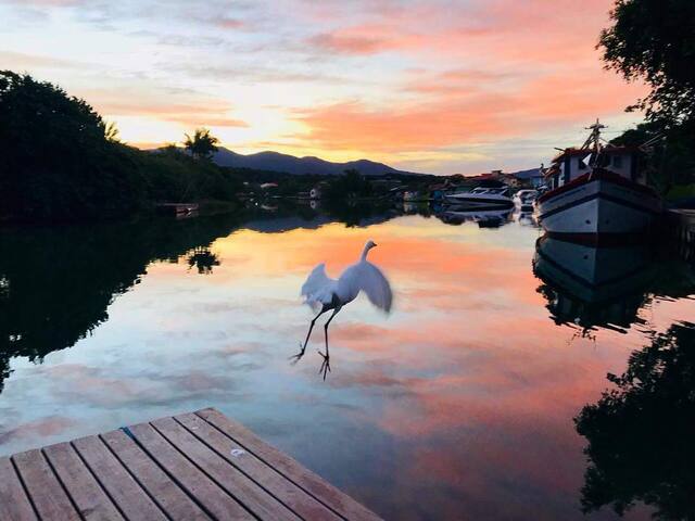 Barra da Lagoa, Florianópolis的民宿