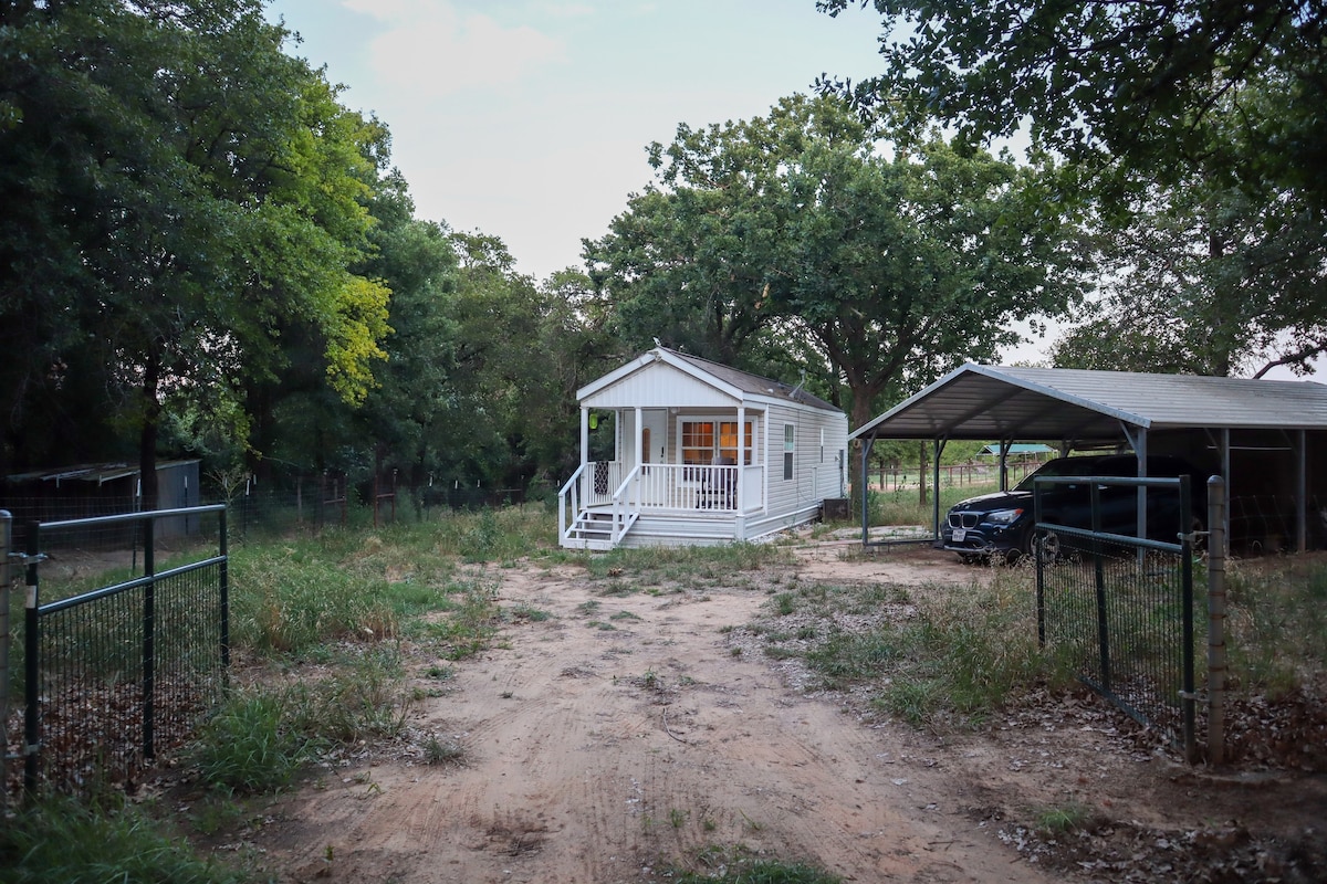 Peaceful Cozy Cabin on Salt Creek.