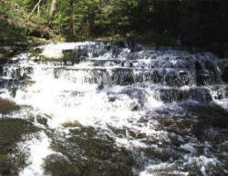 CliffSide by the Falls