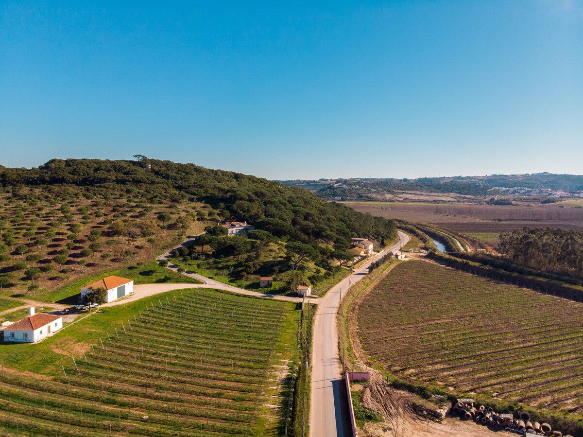 Small Traditional villa near Óbidos Castle