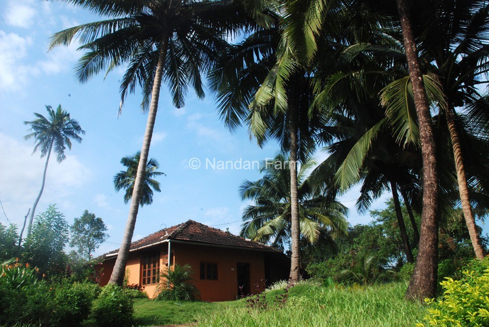 Nandan Farm home stay