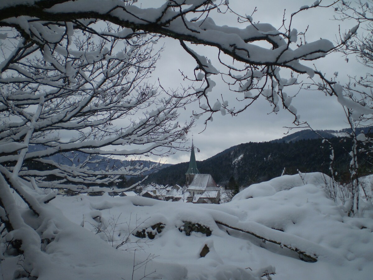 公寓位于阿尔萨斯孚日（ Alsatian Vosges ）的中心地带。