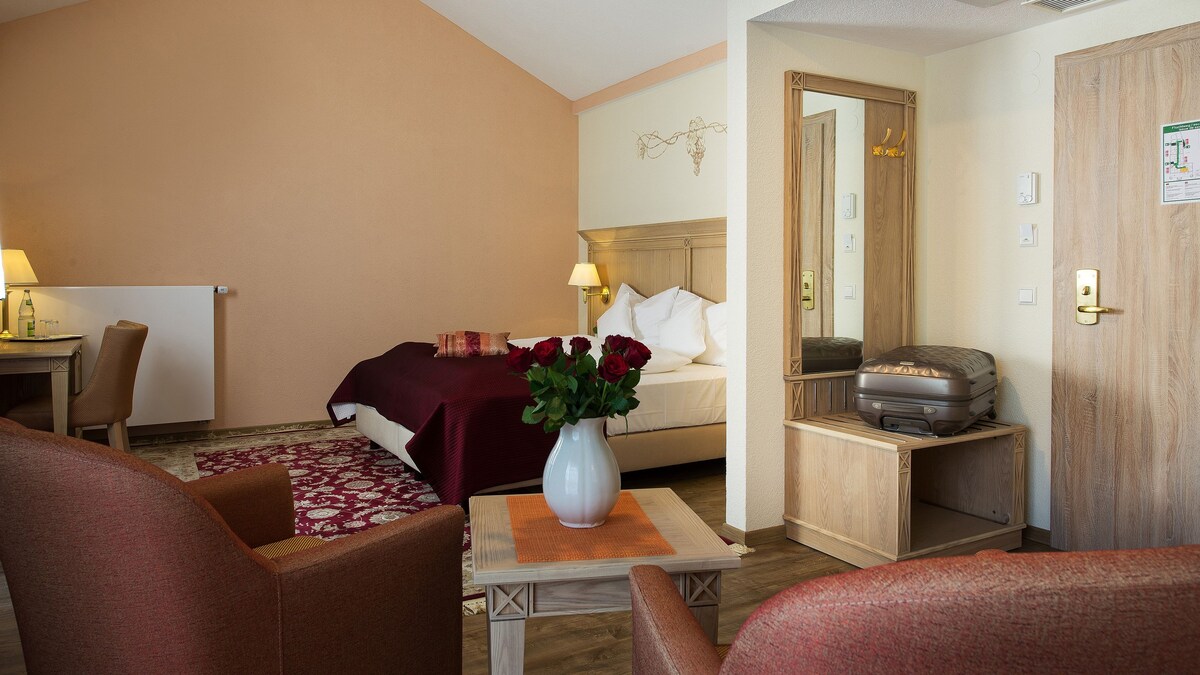 带露台的Rebstock酒店（巴登-巴登）、小型套房
