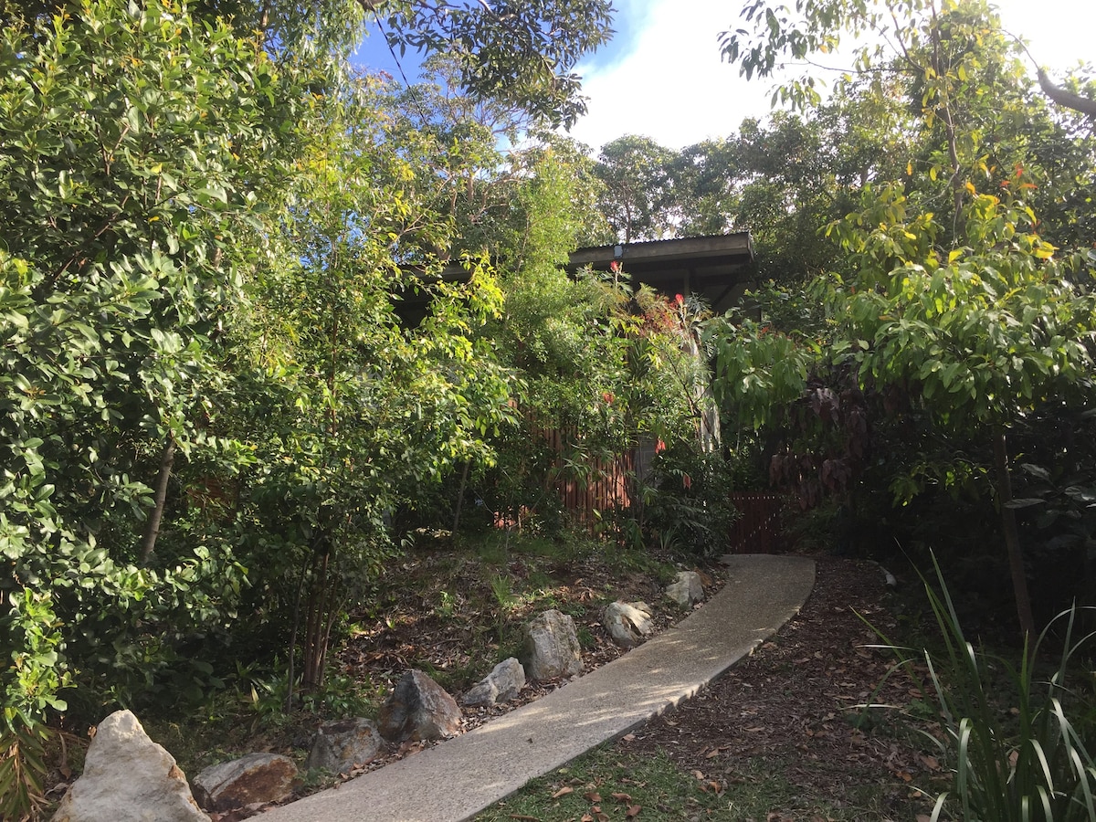 Currawong at Point Lookout