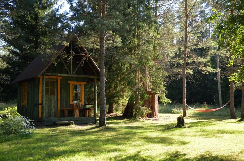 Saia Forest House