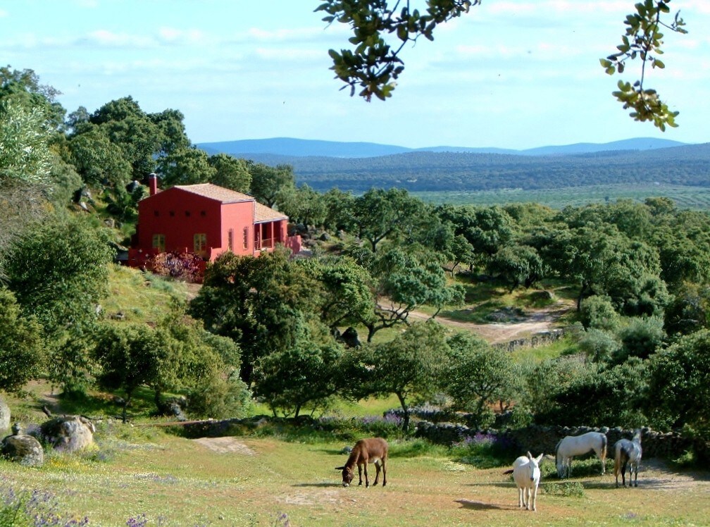 El Cortijo ，魅力和时尚的独特氛围