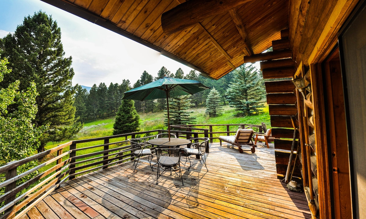 Bridger Bowl Ski的Bozeman Cabin in the Mountains