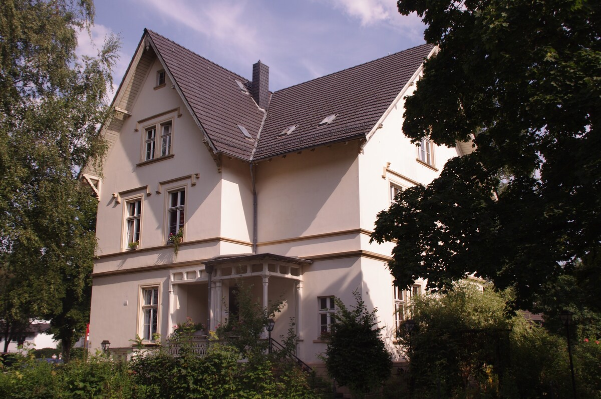 韦尔曼别墅（ Villa Weyermann ）