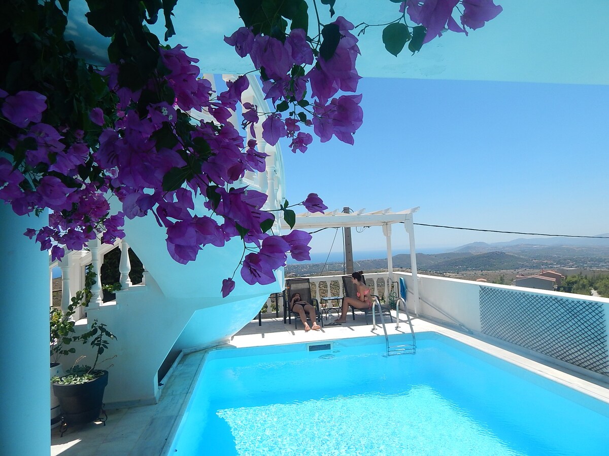 Peggy 's Villa-house ，带泳池，距离雅典机场25英尺