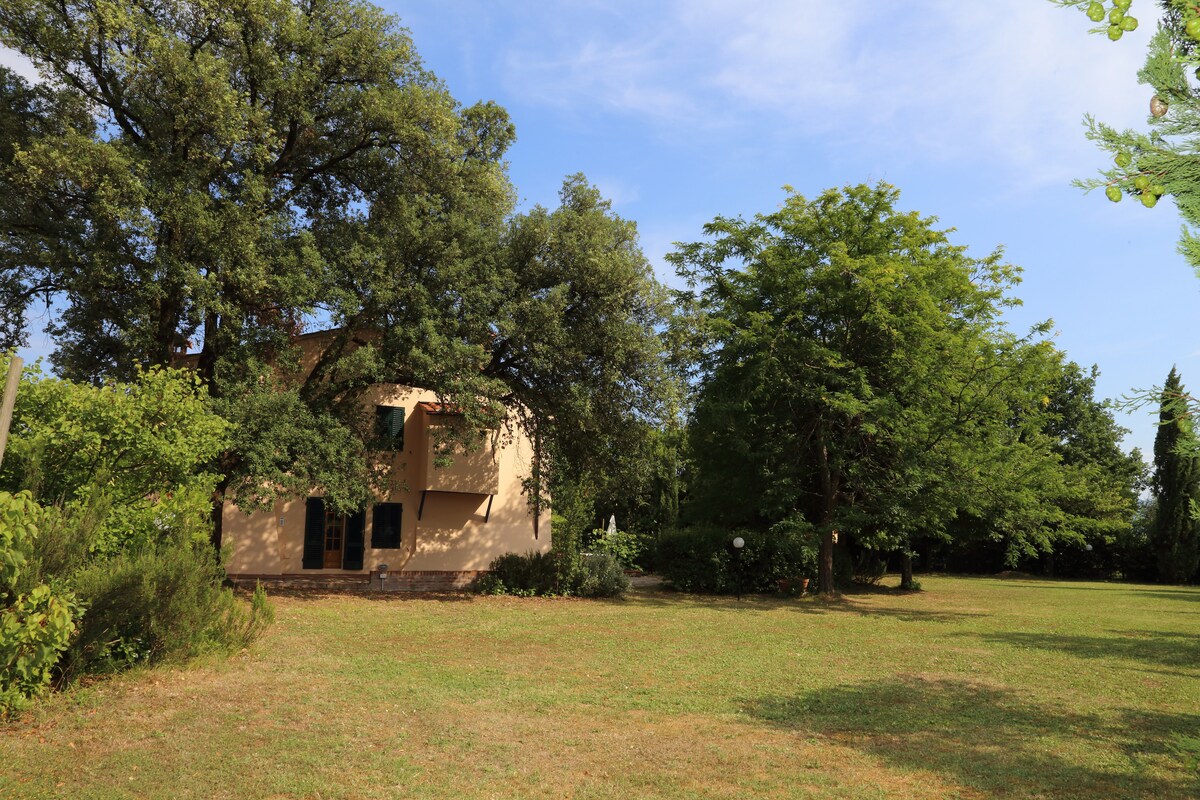 Apartment Al Vecchio Leccio