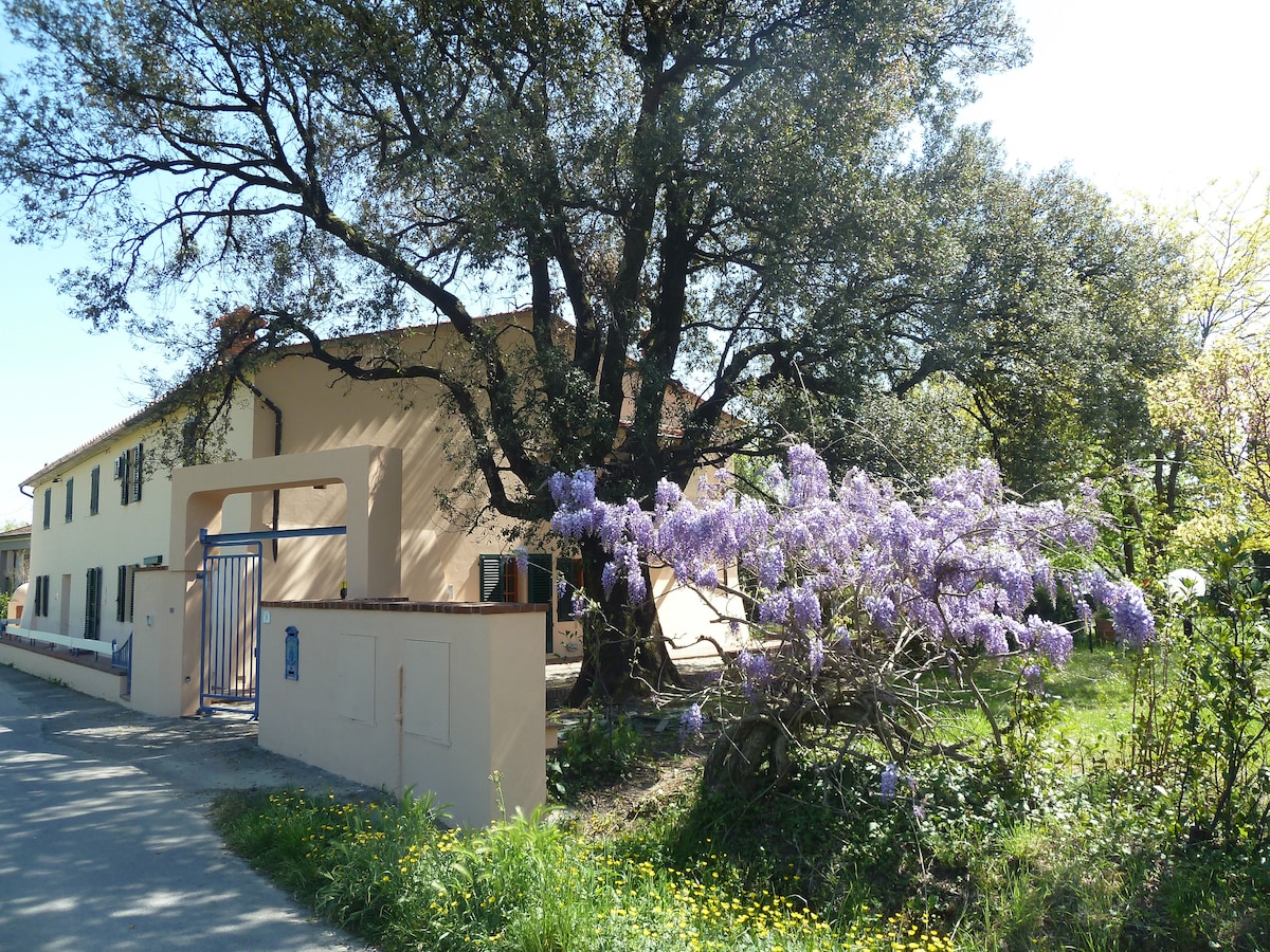 Apartment Al Vecchio Leccio