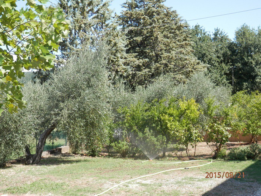 Maremma Country House