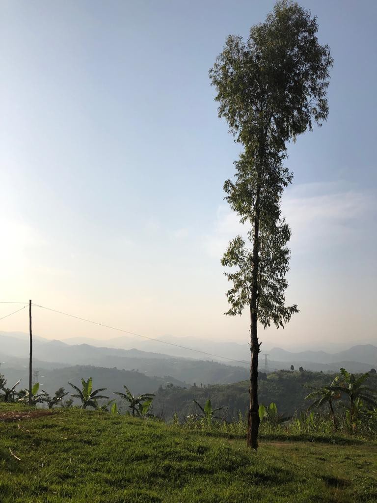 Guesthouse ： "vivre à la rwandaise"