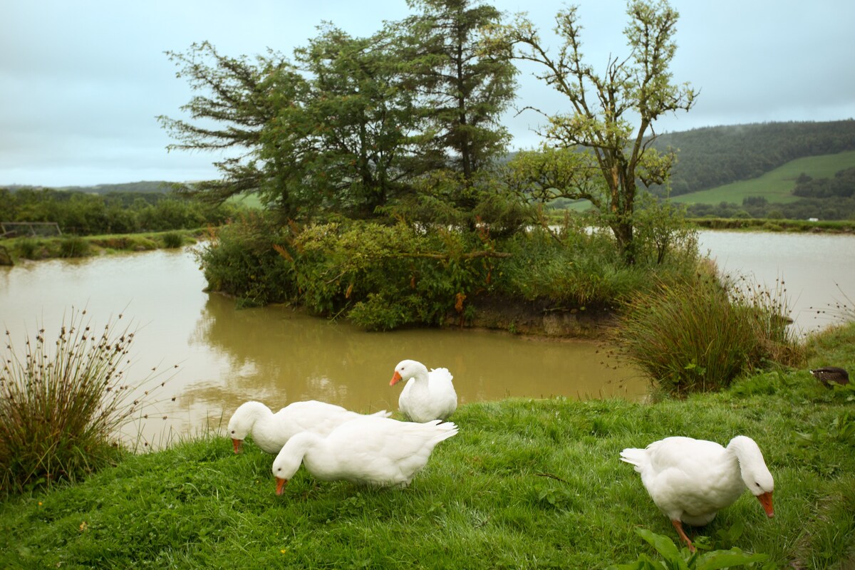 Cowslip Farm Stay Holiday Cottage