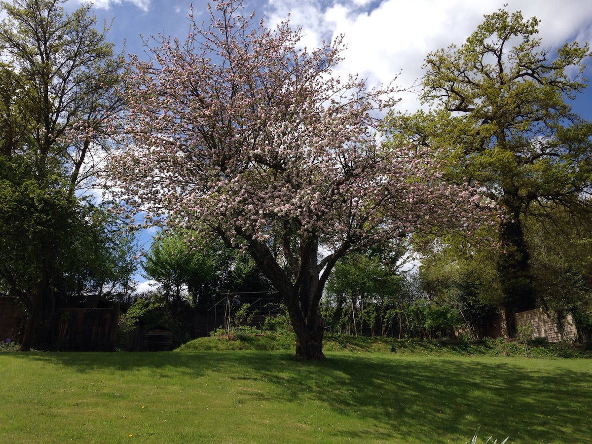 提供乡村别墅/别墅。住宿加早餐